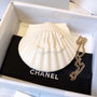 Chanel  Limited Edition shell plexiglass clutch 2019