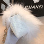 Chanel Feather Flap Bag