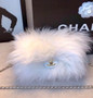 Chanel Feather Flap Bag