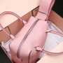 DELVAUX Cool Box Leather Satchel Pink