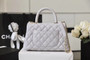 Chanel Mini Coco Handle Bag with Calfskin  Handle Light Grey