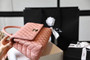 Chanel Small Coco Handle Bag in Calfskin Handle Pink 
