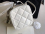  Chanel Camera case AS1323 White