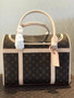 Louis Vuitton M42024 DOG CARRIER 40 