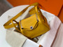 Hermes Mini Lindy 20cm Bag 9D Amber Togo Leather Palladium Hardware
