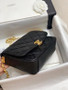 Chanel Flap Bag AS2222 with Gold Coin Charms 