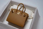 [Exclusive] Hermes Gold Birkin 20cm Epsom Gold Hardware