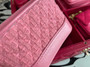 Chanel Limited Edition  Set of 4 Minis Bags  Pink