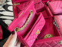 Chanel Limited Edition  Set of 4 Minis Bags  Pink