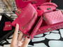 Chanel Limited Edition  Set of 4 Minis Bags  Pink