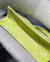 Christian Dior SMALL DIOR BOOK TOTE Lime Toile de Jouy Reverse Embroidery Christian Dior SMALL DIOR BOOK TOTE Lime Toile de Jouy Reverse Embroidery