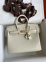 Hermes Birkin 25cm 8L Béton  Alligator  with Gold hardware