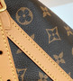 Louis Vuitton M46197 CARRYALL MM