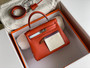 Hermes Colormatic Kelly 25 9J Feu Swift Calfskin Palladium Hardware (Kylie Jenner  Birthday 2022)