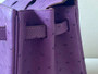 Hermes P9 Anemone Birkin Bag 25cm Ostrich Leather Gold Hardware