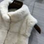 Loro Piana Chais Gilet Mink 