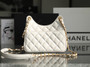 Chanel Cruise 2023 HOBO BAG WHITE