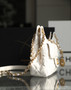 Chanel Cruise 2023 HOBO BAG WHITE