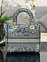 Christian Dior MEDIUM DENIM LADY D-LITE BAG SS2023 Denim Multicolor Dior Jardin Magique Embroidery