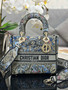 Christian Dior MEDIUM DENIM LADY D-LITE BAG SS2023 Denim Multicolor Dior Jardin Magique Embroidery