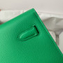 Hermes Kelly Elan bag Sellier Comic Green Chevre goatsk in Gold hardware