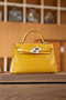 Hermès Kelly 20 Mini II Sellier Amber Alligator Palladium Hardware  Hermès Kelly 20 Mini II Sellier Amber Alligator Palladium Hardware
