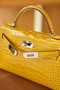 Hermès Kelly 20 Mini II Sellier Amber Alligator Palladium Hardware  Hermès Kelly 20 Mini II Sellier Amber Alligator Palladium Hardware