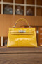 Hermès Kelly 20 Mini II Sellier Amber Alligator Palladium Hardware  Hermès Kelly 20 Mini II Sellier Amber Alligator Palladium Hardware