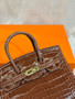 Hermès Birkin 20 Miel  Alligator Gold Hardware Hermès Birkin 20 Miel  Alligator Gold Hardware