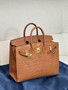 Hermès Birkin 20 Gold  Alligator Gold Hardware Hermès Birkin 20 Gold  Alligator Gold Hardware