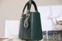 Christian Dior Lady Dior Mini  Lizard  Green