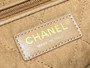 CHANEL FALL-WINTER 2024/25 22 SMALL HANDBAG CAMEL