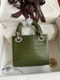  Christian Dior Lady Dior Mini Crocodile Crystal Hardware Green