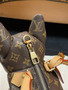 Louis Vuitton M12617 Pooch Bag Louis Vuitton M12617 Pooch Bag