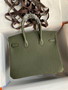 Hermes Vert Maquis Birkin 25 cm Togo Gold Hardware