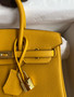 Hermes Amber Birkin 25 cm Togo Gold Hardware