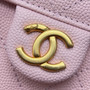 Chanel SPRING-SUMMER 2025   CHANEL 25 SMALL HANDBAG LIGHT PINK