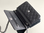 Chanel SPRING-SUMMER 2025   CLASSIC WALLET ON CHAIN WITH SILVER HARDWARE