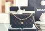 Chanel SPRING-SUMMER 2025   CLASSIC WALLET ON CHAIN WITH GOLD HARDWARE