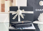 Chanel SPRING-SUMMER 2025   CLASSIC WALLET ON CHAIN WITH GOLD HARDWARE
