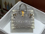 Hermes  Ombre Lizard Birkin Bag 20cm Gold Hardware