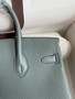  Hermes Vert Amond Birkin 25 cm Togo Gold Hardware