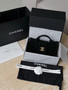 Chanel Fall-Winter 2025/26   Mini Bow Bag  Chanel Fall-Winter 2025/26   Mini Bow Bag