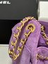 CHANEL Cruise 2025/26 CHANEL 25 Mini Handbag Suede Calfskin Purple