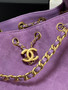 CHANEL Cruise 2025/26 CHANEL 25 Mini Handbag Suede Calfskin Purple