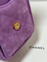 CHANEL Cruise 2025/26 CHANEL 25 Mini Handbag Suede Calfskin Purple