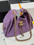 CHANEL Cruise 2025/26 CHANEL 25 Mini Handbag Suede Calfskin Purple
