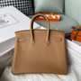 Hermes Biscuit Birkin 25 cm Togo Gold Hardware
