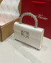 Roger Vivier Efflorescence Mini Bag in Satin White
