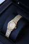 AP Mini Royal Oak Frosted Gold Quartz Watch 23mm